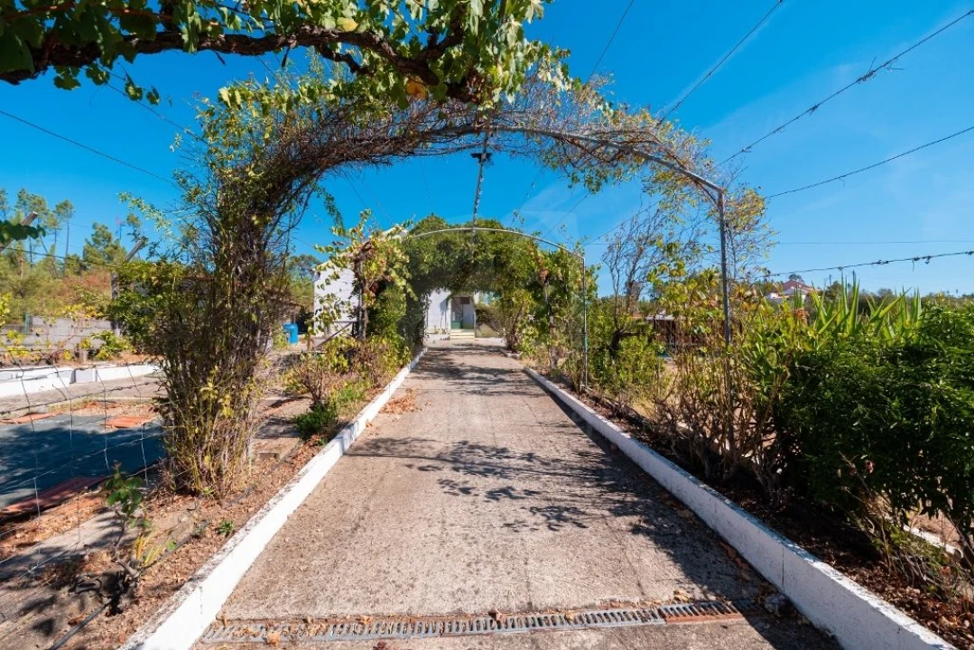 Moradia T4 para Venda em Santo Andre das Tojeiras Foto 3