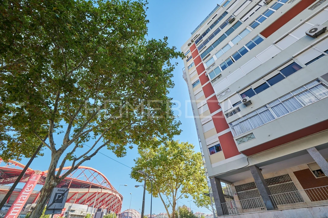 Apartamento T3 para Arrendamento em São Domingos de Benfica Foto 23