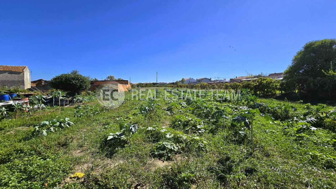 Terreno para Venda em Eixo e Eirol Foto 14