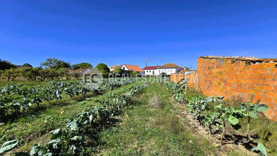 Terreno para Venda em Eixo e Eirol Foto 12