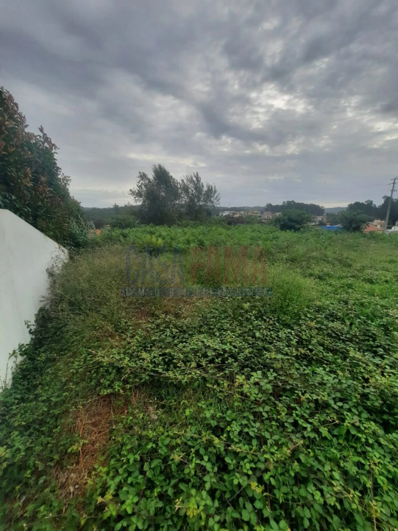 Terreno para Venda em Alvarelhos e Guidões Foto 3