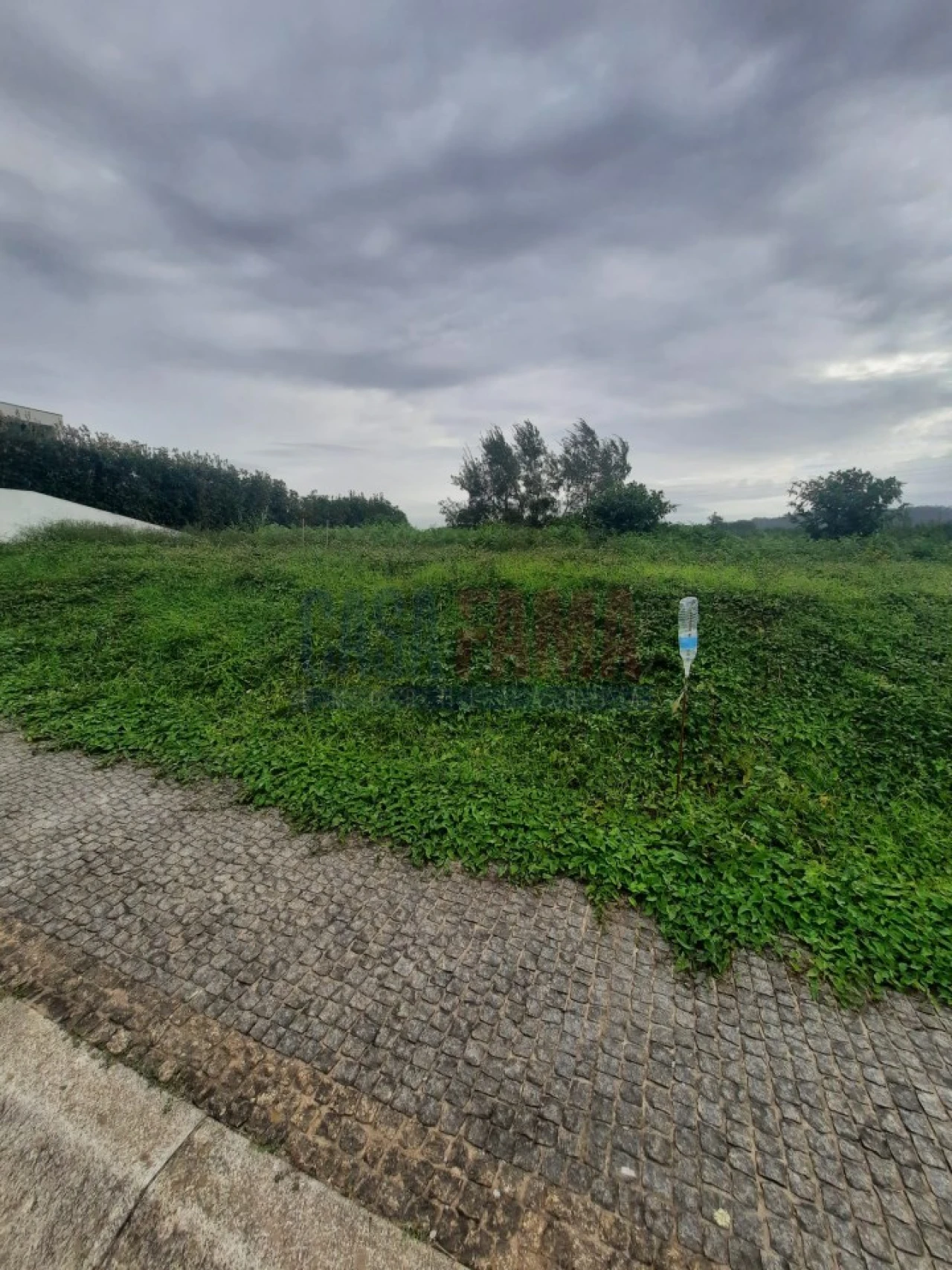 Terreno para Venda em Alvarelhos e Guidões Foto 10
