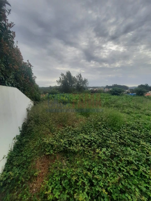 Terreno para Venda em Alvarelhos e Guidões