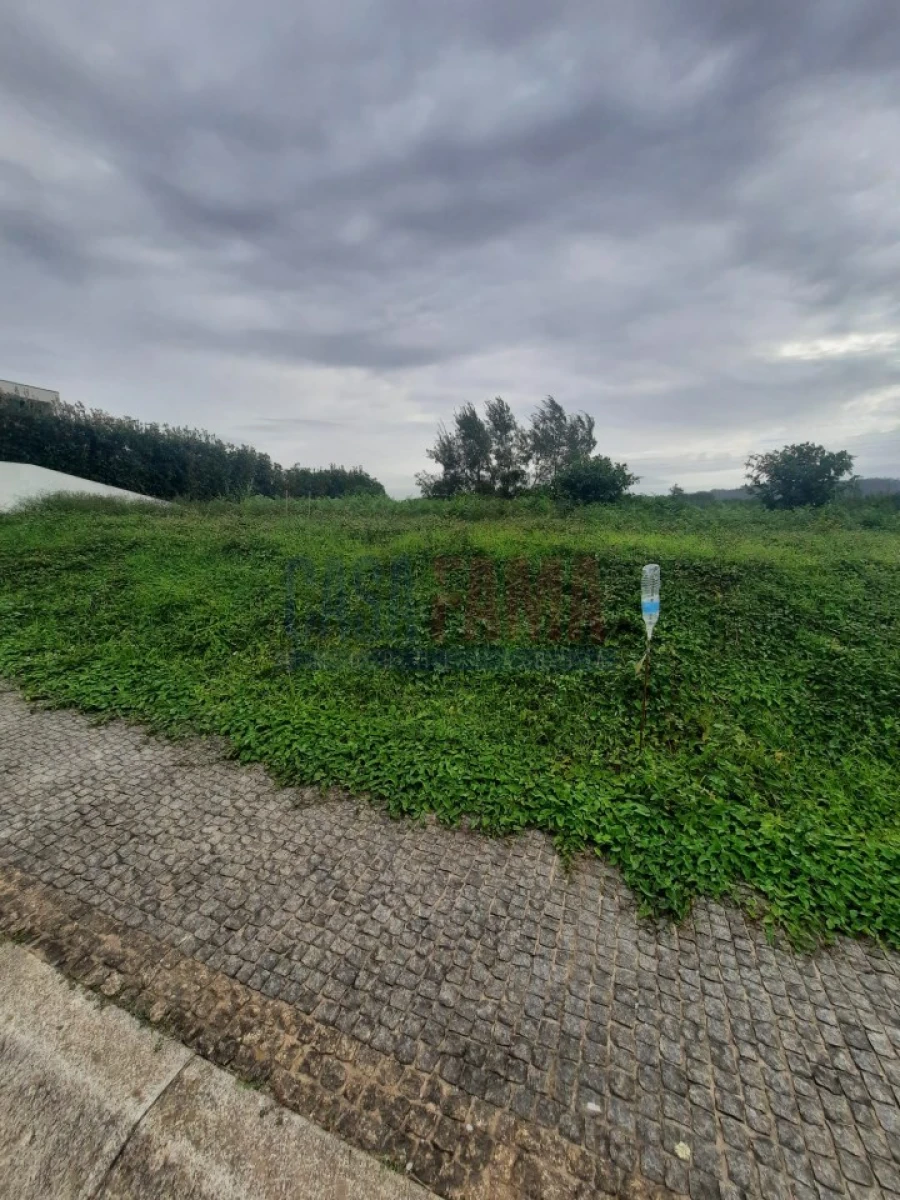 Terreno para Venda em Alvarelhos e Guidões Foto 10