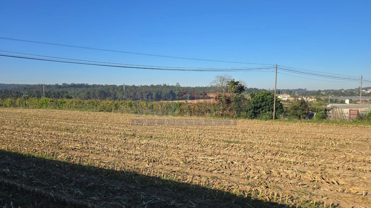 Terreno para Venda em Bagunte, Ferreiró, Outeiro Maior e Parada Foto 4