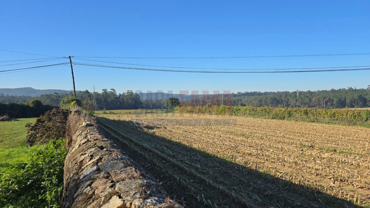 Terreno para Venda em Bagunte, Ferreiró, Outeiro Maior e Parada Foto 10