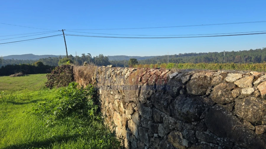 Terreno para Venda em Bagunte, Ferreiró, Outeiro Maior e Parada Foto 3