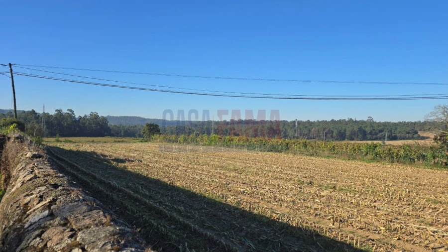 Terreno para Venda em Bagunte, Ferreiró, Outeiro Maior e Parada Foto 6