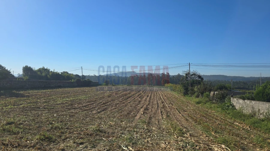 Terreno para Venda em Bagunte, Ferreiró, Outeiro Maior e Parada Foto 11
