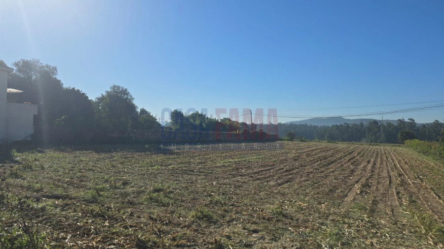 Terreno para Venda em Bagunte, Ferreiró, Outeiro Maior e Parada Foto 12