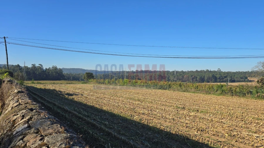 Terreno para Venda em Bagunte, Ferreiró, Outeiro Maior e Parada