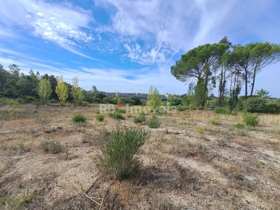 Terreno Agricola ou Rústico para Venda em Casais e Alviobeira Foto 7