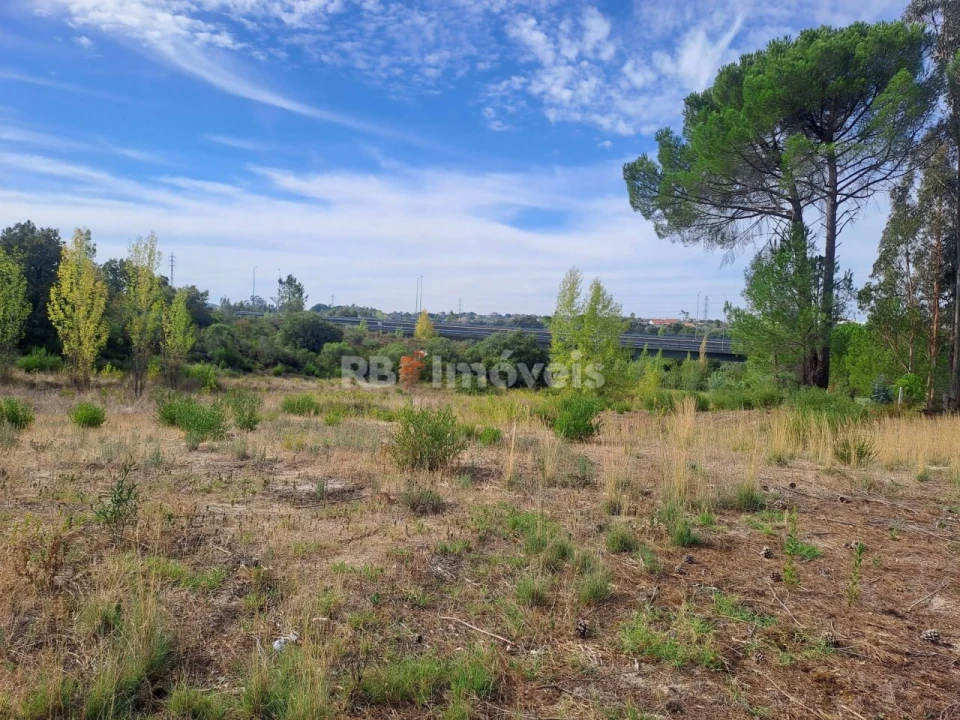 Terreno Agricola ou Rústico para Venda em Casais e Alviobeira Foto 8
