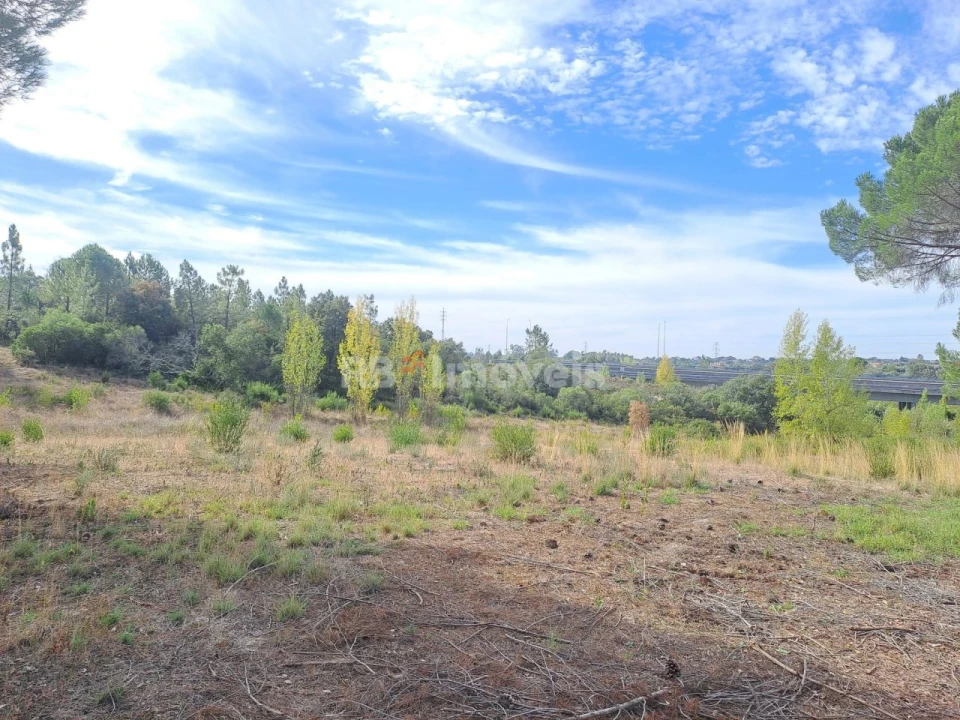 Terreno Agricola ou Rústico para Venda em Casais e Alviobeira Foto 9