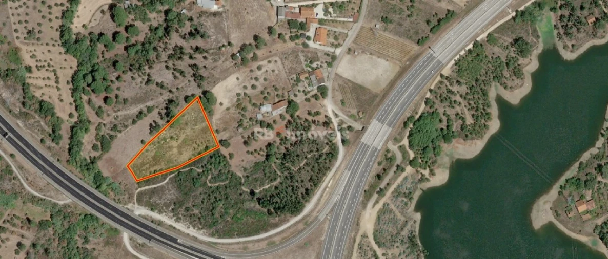 Terreno Agricola ou Rústico para Venda em Casais e Alviobeira Foto 5
