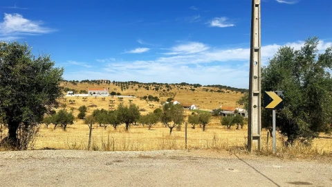 Moradia T2 para Venda em Nossa Senhora de Machede