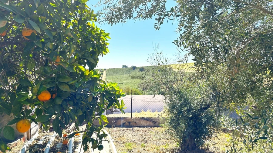 Moradia T2 para Venda em Nossa Senhora de Machede Foto 33