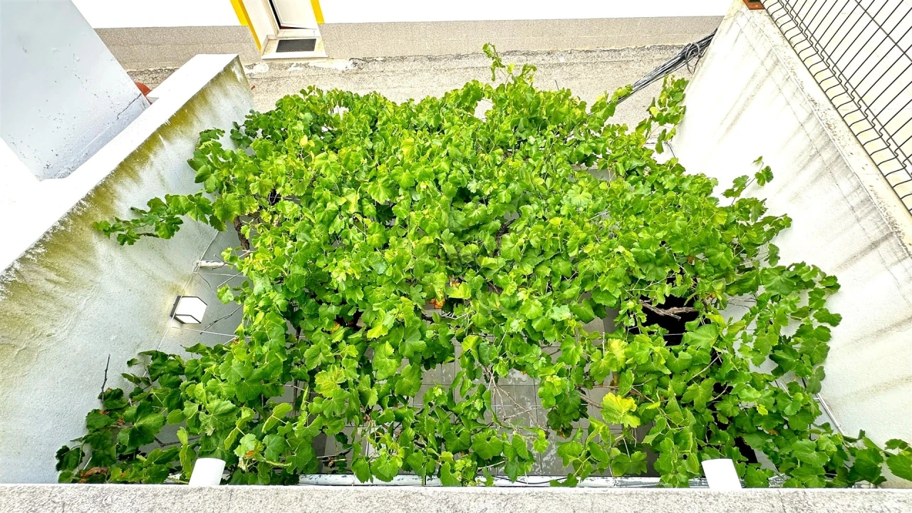 Apartamento T1 para Venda em Terrugem e Vila Boim Foto 24