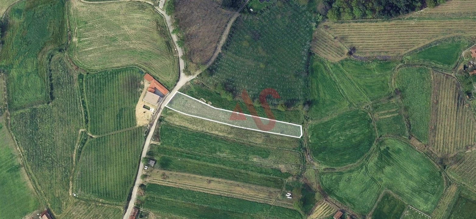 Terreno para Venda em Silvares, Pias, Nogueira e Alvarenga Foto 2