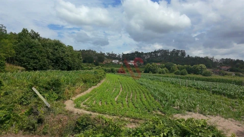Terreno para Venda em Silvares, Pias, Nogueira e Alvarenga