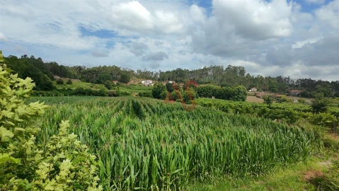 Terreno para Venda em Silvares, Pias, Nogueira e Alvarenga