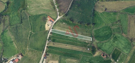Terreno para Venda em Silvares, Pias, Nogueira e Alvarenga