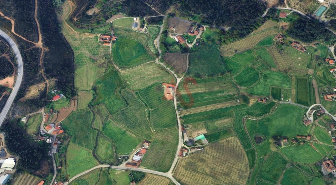 Terreno para Venda em Silvares, Pias, Nogueira e Alvarenga Foto 6