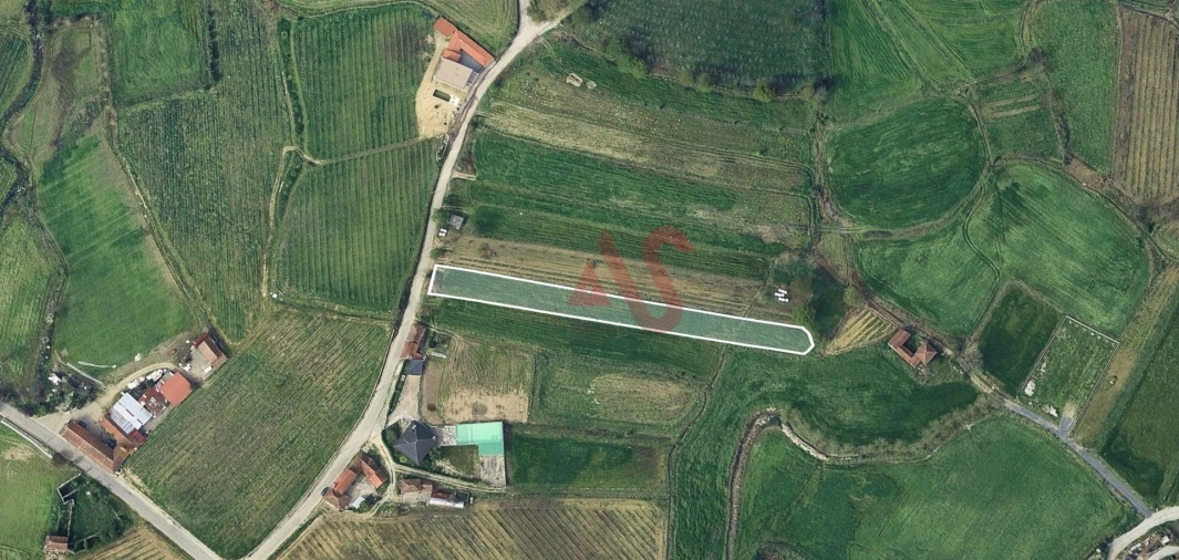 Terreno para Venda em Silvares, Pias, Nogueira e Alvarenga Foto 11