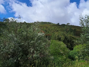 Quinta T0 para Venda em Reguengo e São Julião