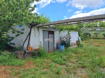 Quinta T0 para Venda em Reguengo e São Julião