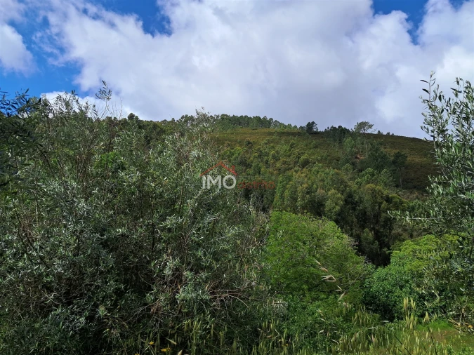 Quinta T0 para Venda em Reguengo e São Julião Foto 8
