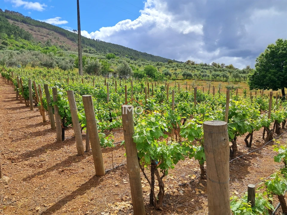 Quinta T0 para Venda em Reguengo e São Julião Foto 10