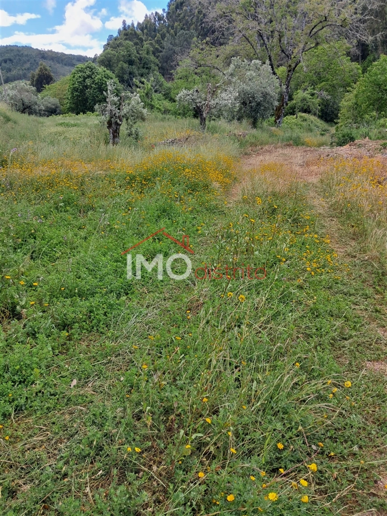 Quinta T0 para Venda em Reguengo e São Julião Foto 16