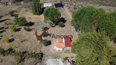 Quinta T0 para Venda em Nespereira
