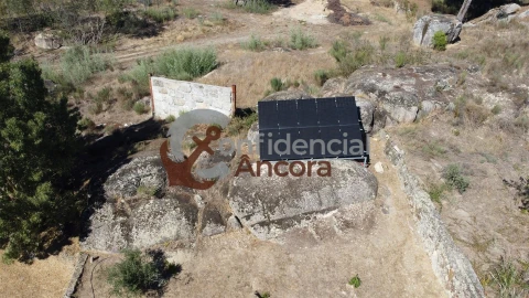 Quinta T0 para Venda em Nespereira