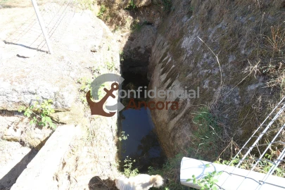 Quinta T0 para Venda em Nespereira