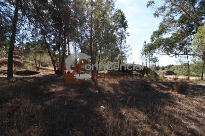 Quinta T0 para Venda em Nespereira