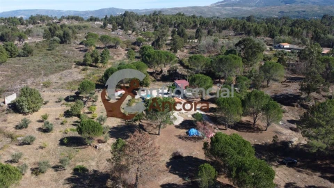 Quinta T0 para Venda em Nespereira