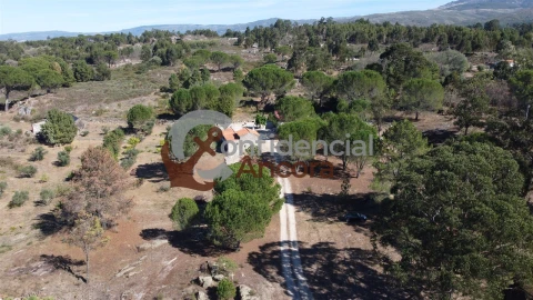 Quinta T0 para Venda em Nespereira