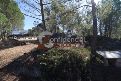 Quinta T0 para Venda em Nespereira