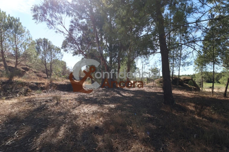 Quinta T0 para Venda em Nespereira Foto 7