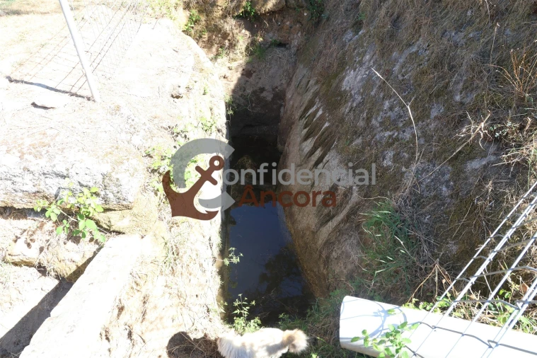 Quinta T0 para Venda em Nespereira Foto 28