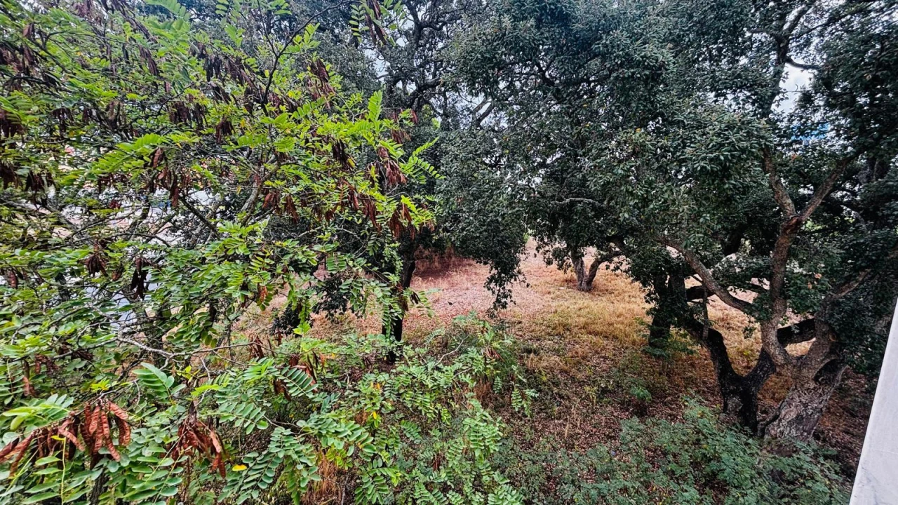 Apartamento T2 para Venda em Setubal (São Sebastião) Foto 17