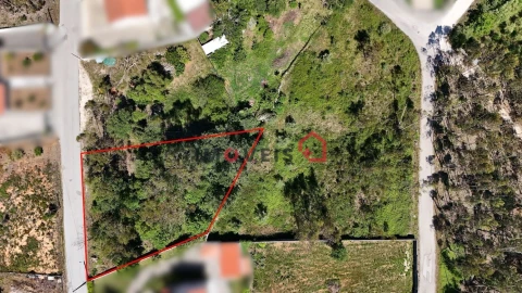 Terreno para Venda em São Mamede