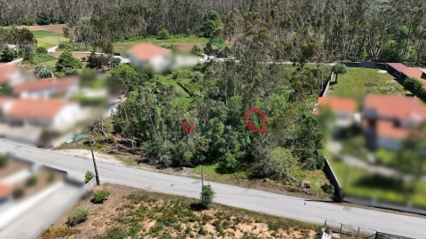 Terreno para Venda em São Mamede