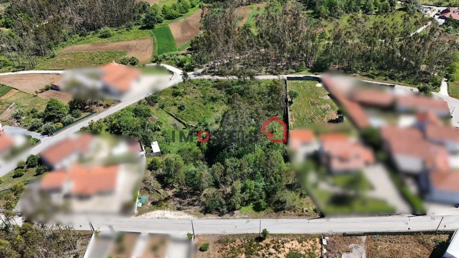Terreno para Venda em São Mamede Foto 6