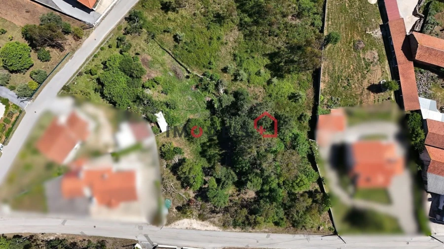 Terreno para Venda em São Mamede Foto 5