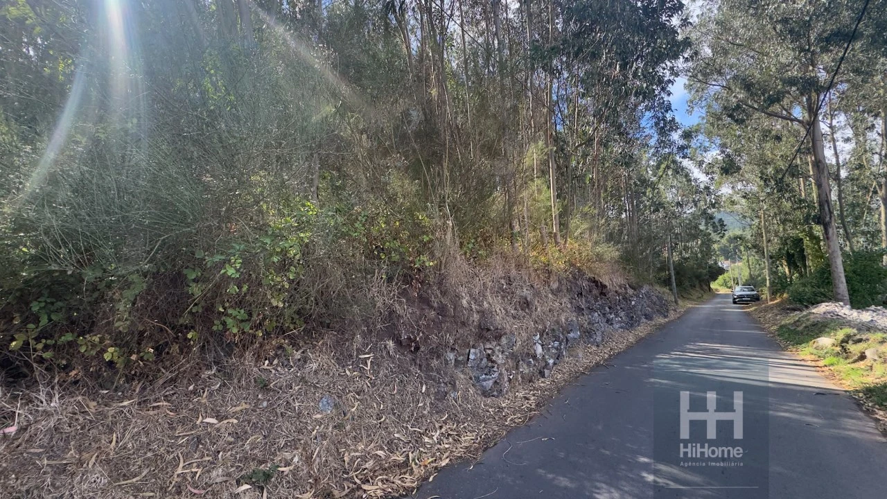Terreno para Venda em Camacha Foto 7