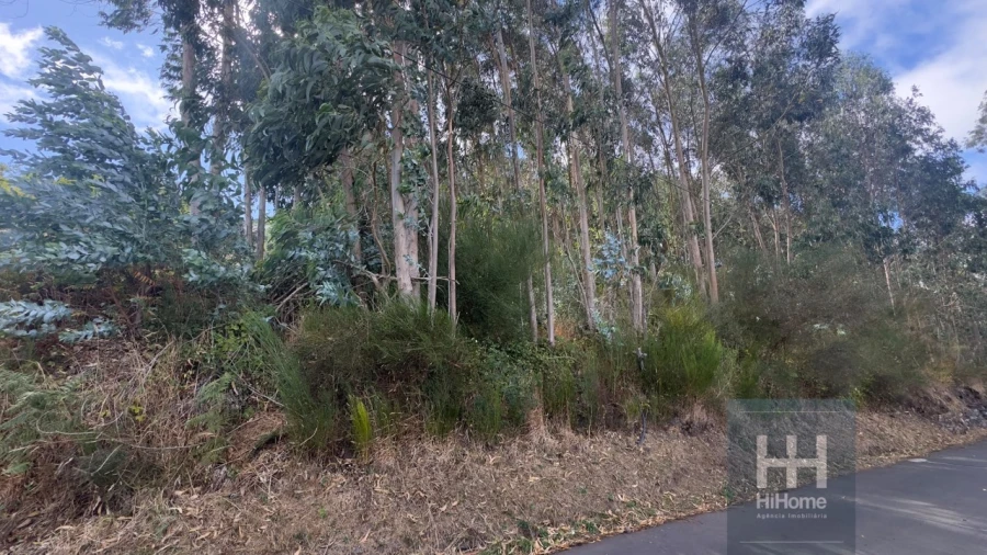 Terreno para Venda em Camacha Foto 9