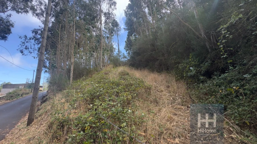 Terreno para Venda em Camacha